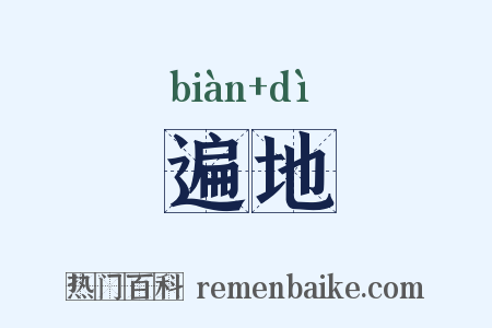 遍地是什么意思的图片
